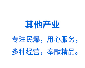 其他产业